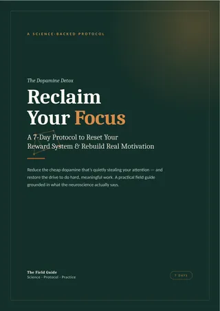 Cover of Reclaim Your Focus