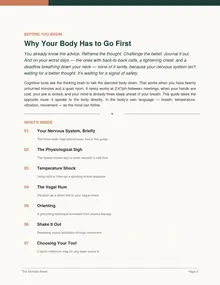 Page 2 of The Somatic Reset